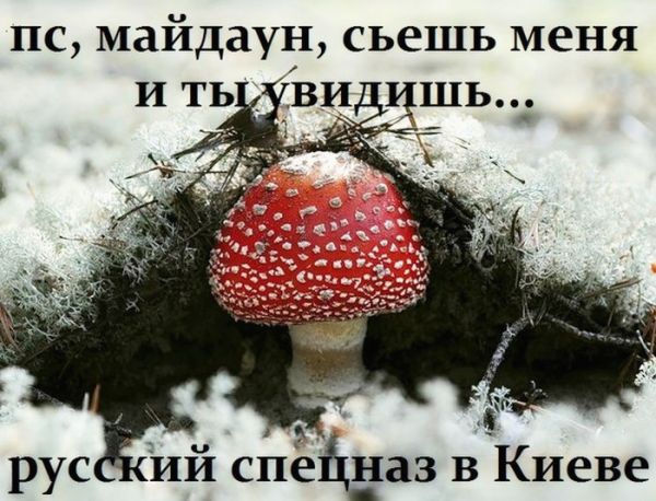 vata2187.jpg, 123.71 КБ, 700 x 534