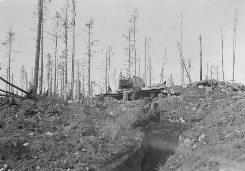 Немецкие солдаты ведут наблюдение в окопе у подбитого танка КВ-1 в районе Кестеньги. 9 мая 1942 г.