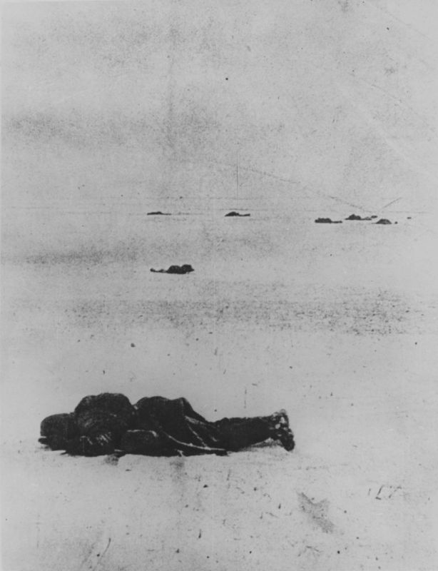 Фото тела погибших в зимней вишне