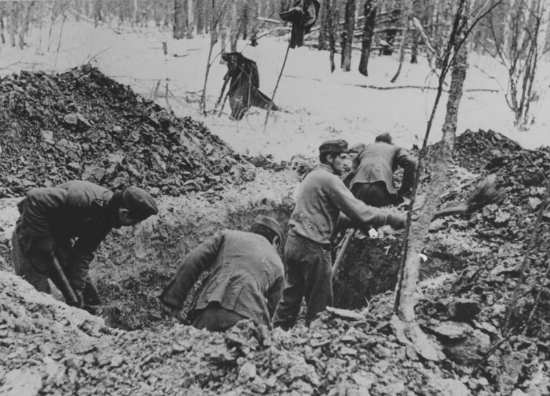 Что такое блиндаж военный фото