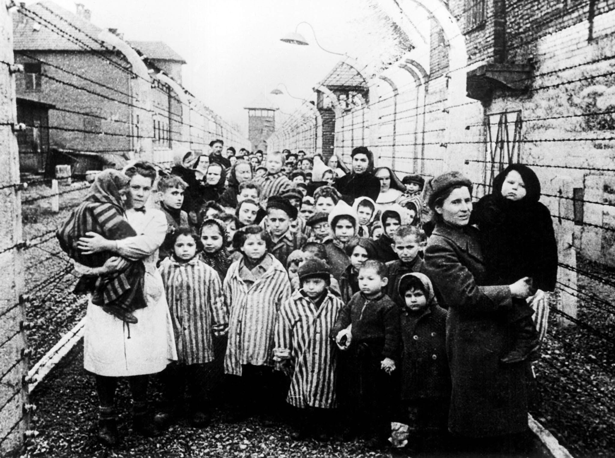 Лагерь Освенцим Биркенау освобождение