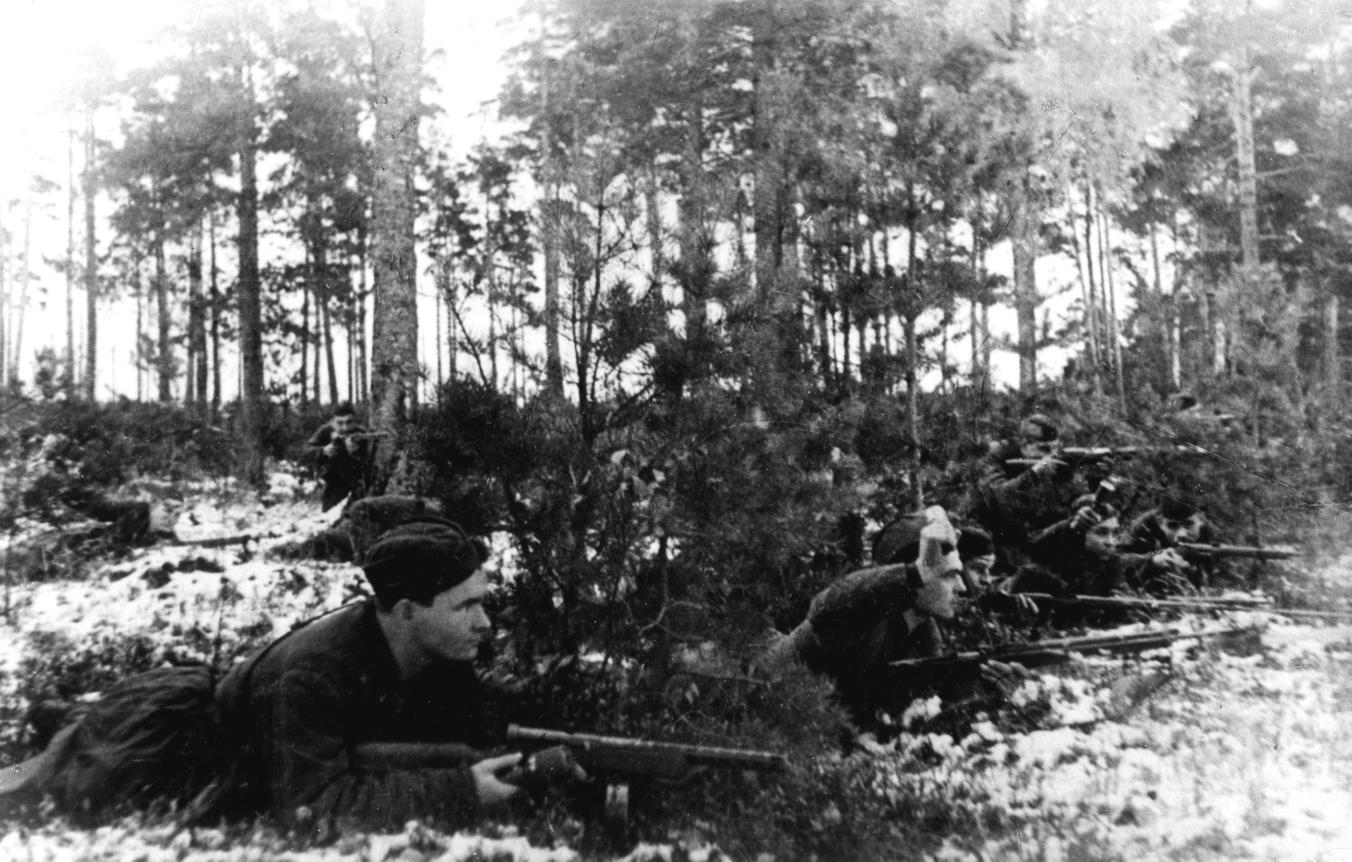 Партизанский лес Великой Отечественной войны