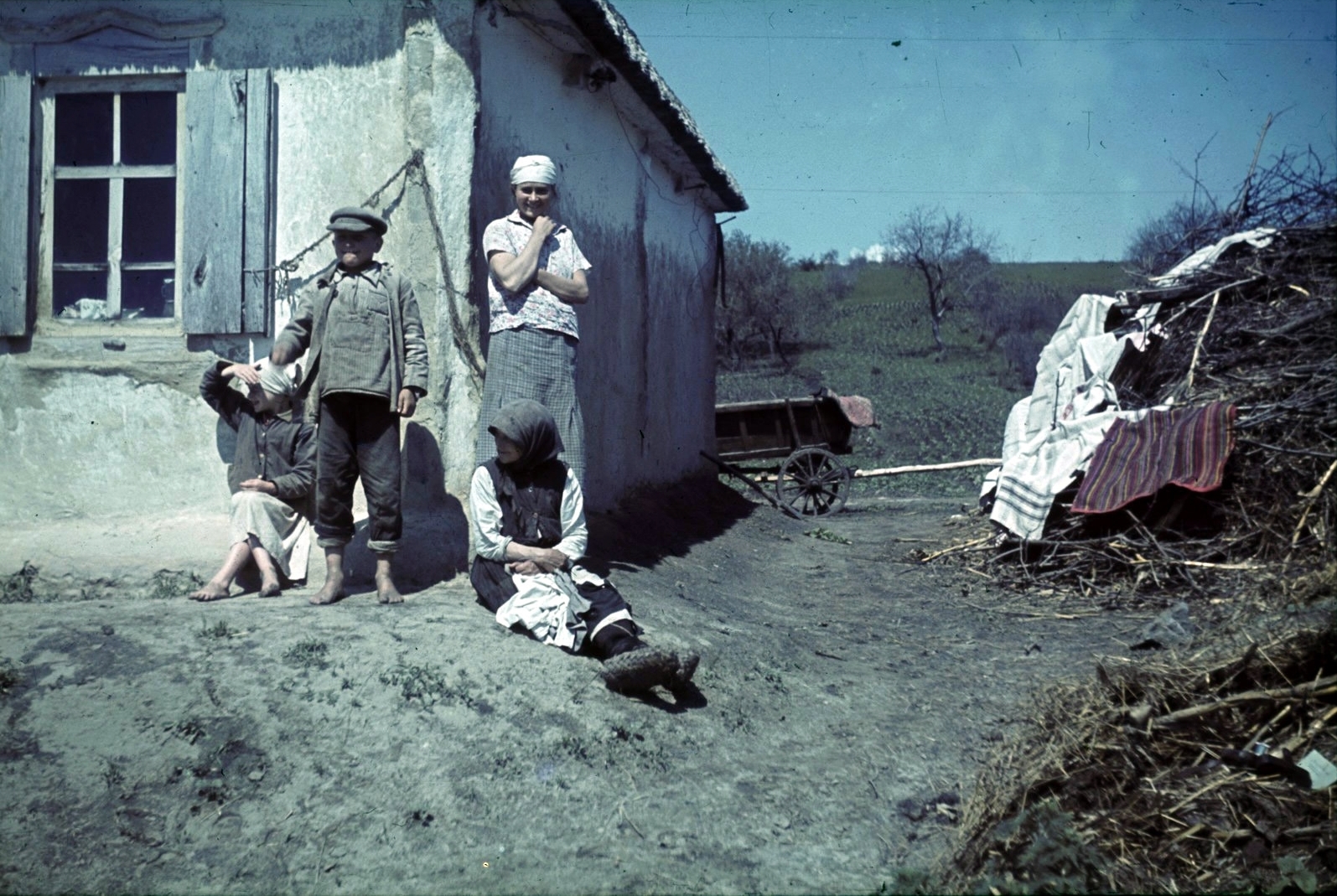 Белгородская область 1943
