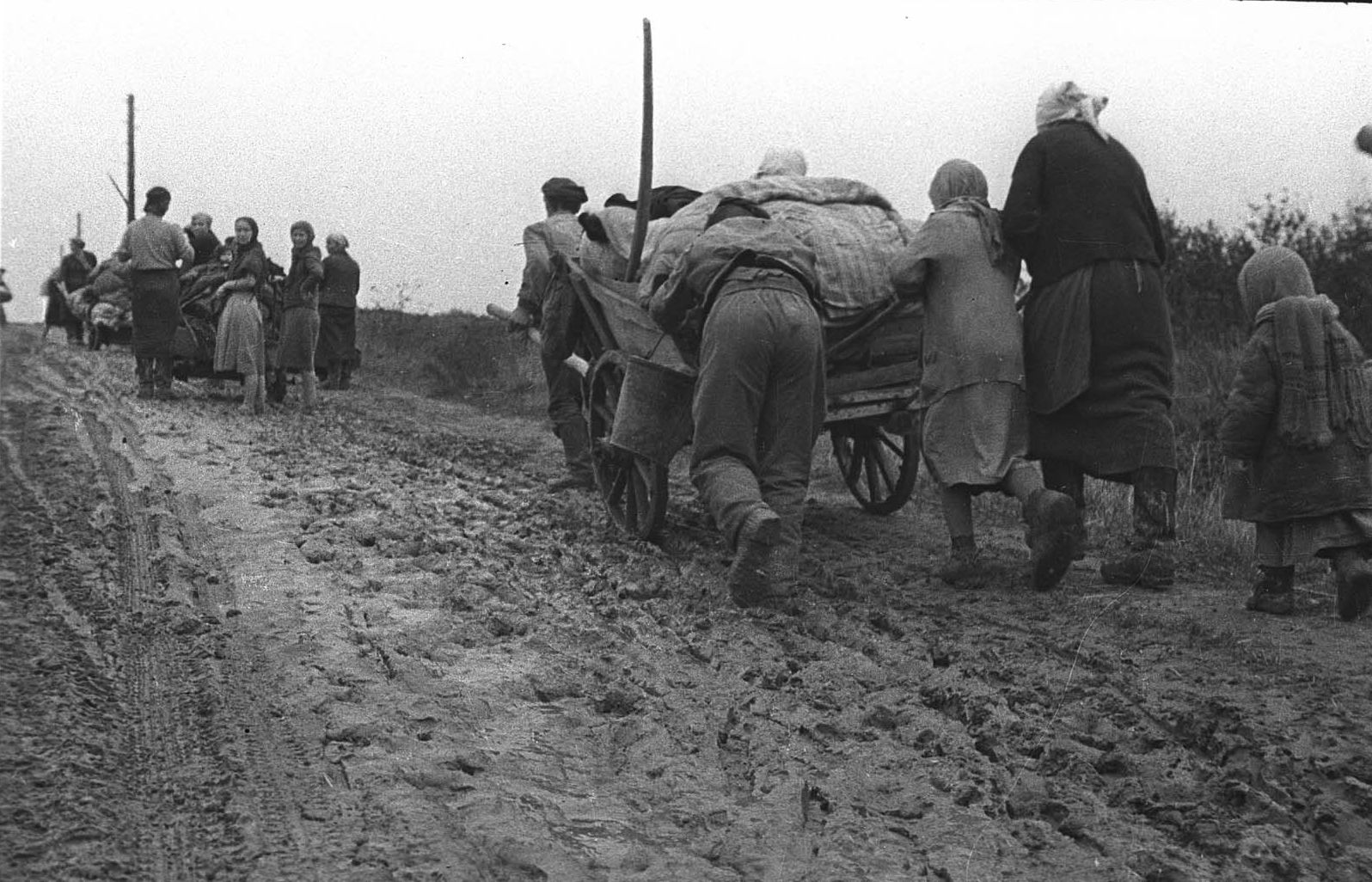 Жертвы беженцы 1941 лето 1941