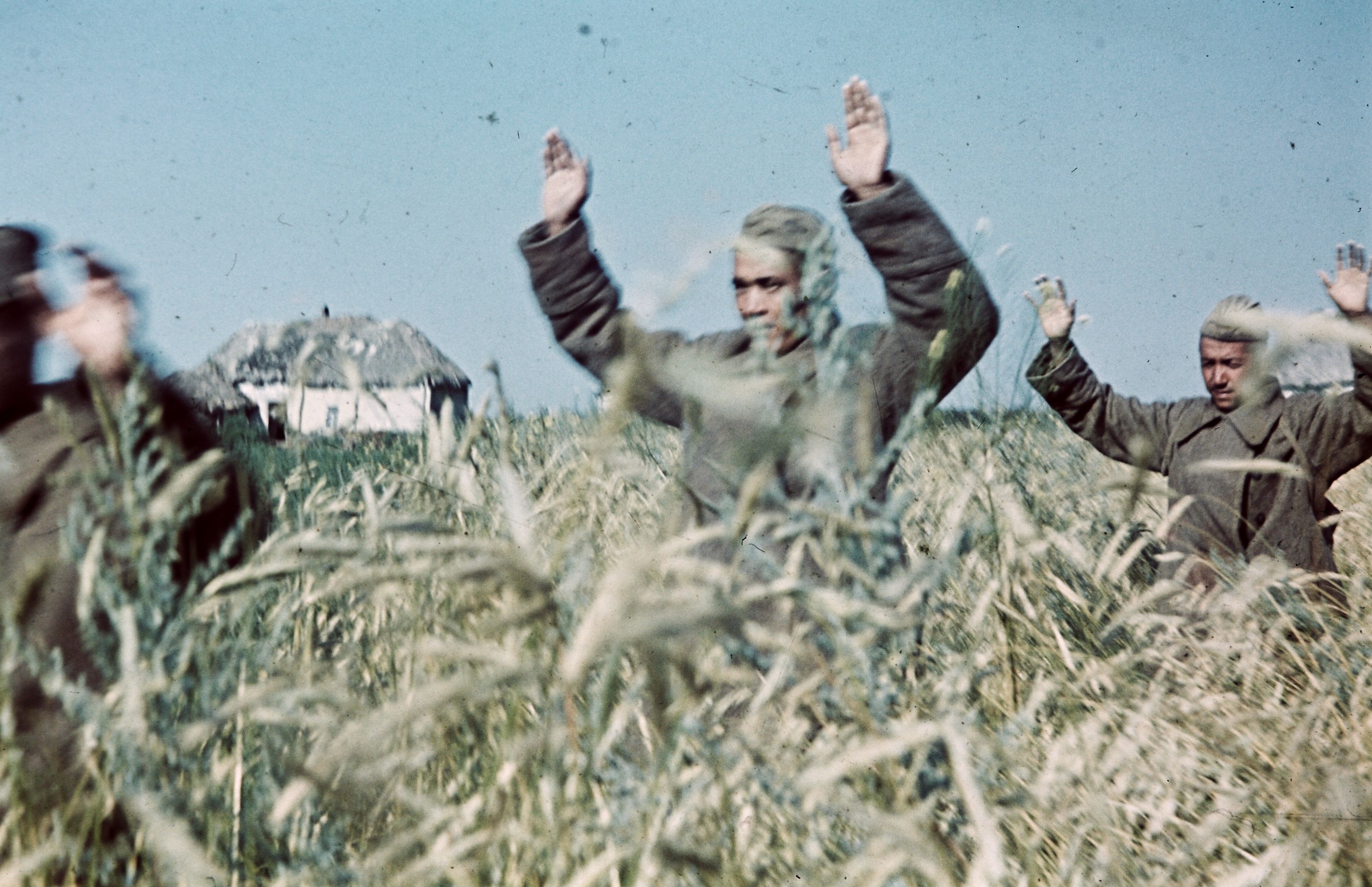 Рота сдалась в плен. Тамаш конок-старший. Советские солдаты сдаются в плен 1941. Тамаш конок венгерский фотограф. Русские солдаты сдаются в плен в 1941.