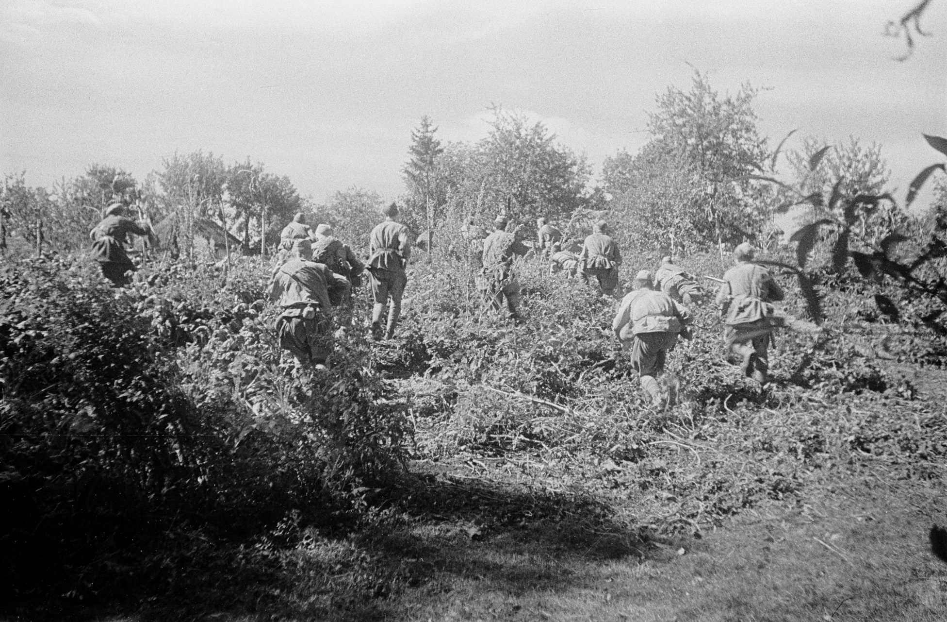 Белоруссия 1944 год. Операция Багратион 1944.