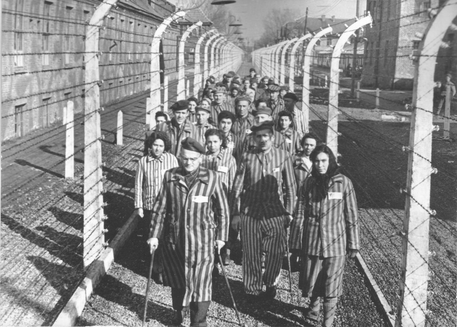 Освобождение лагеря смерти. Концентрационный лагерь Аушвиц-Биркенау Освенцим. Лагерь Аушвиц Польша заключенные. Лагерь Аушвиц-Биркенау люди. Концлагерь Аушвиц-Биркенау Освенцим Польша.