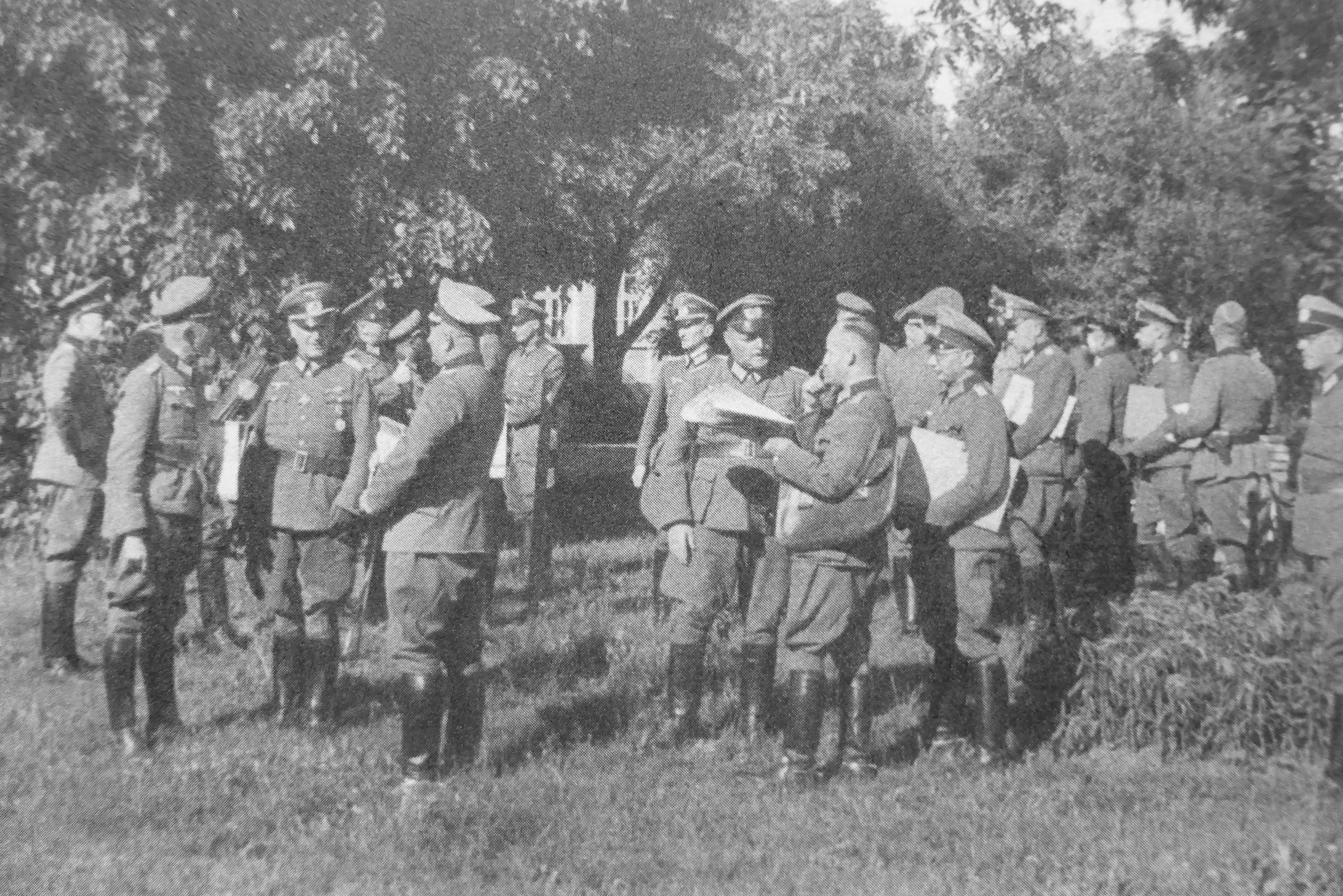Дивизии вермахта перед нападением 1941