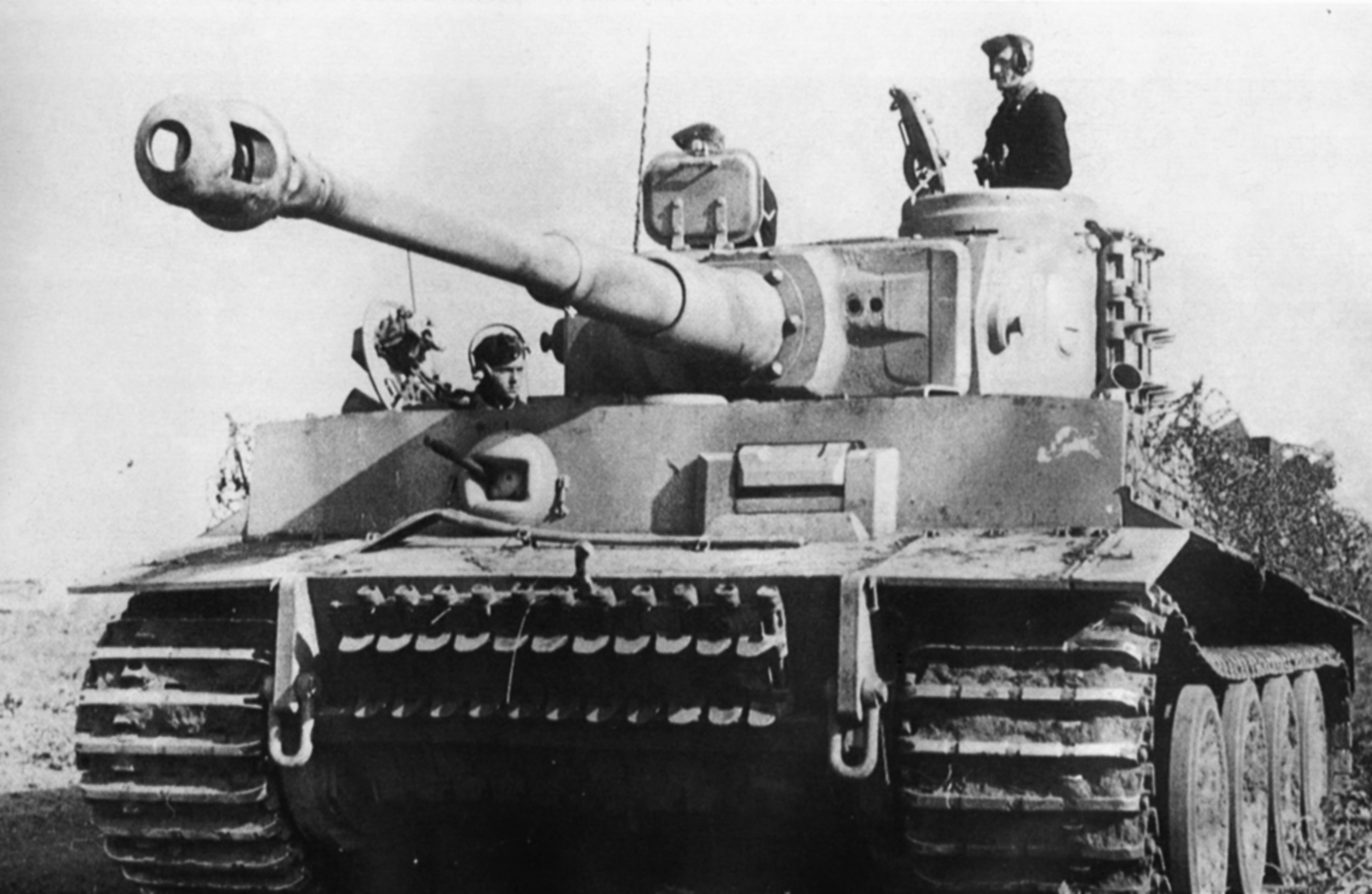 Год тигра немецкий танк. Тигр 114 505 танкового батальона. Танк тигр 1943.
