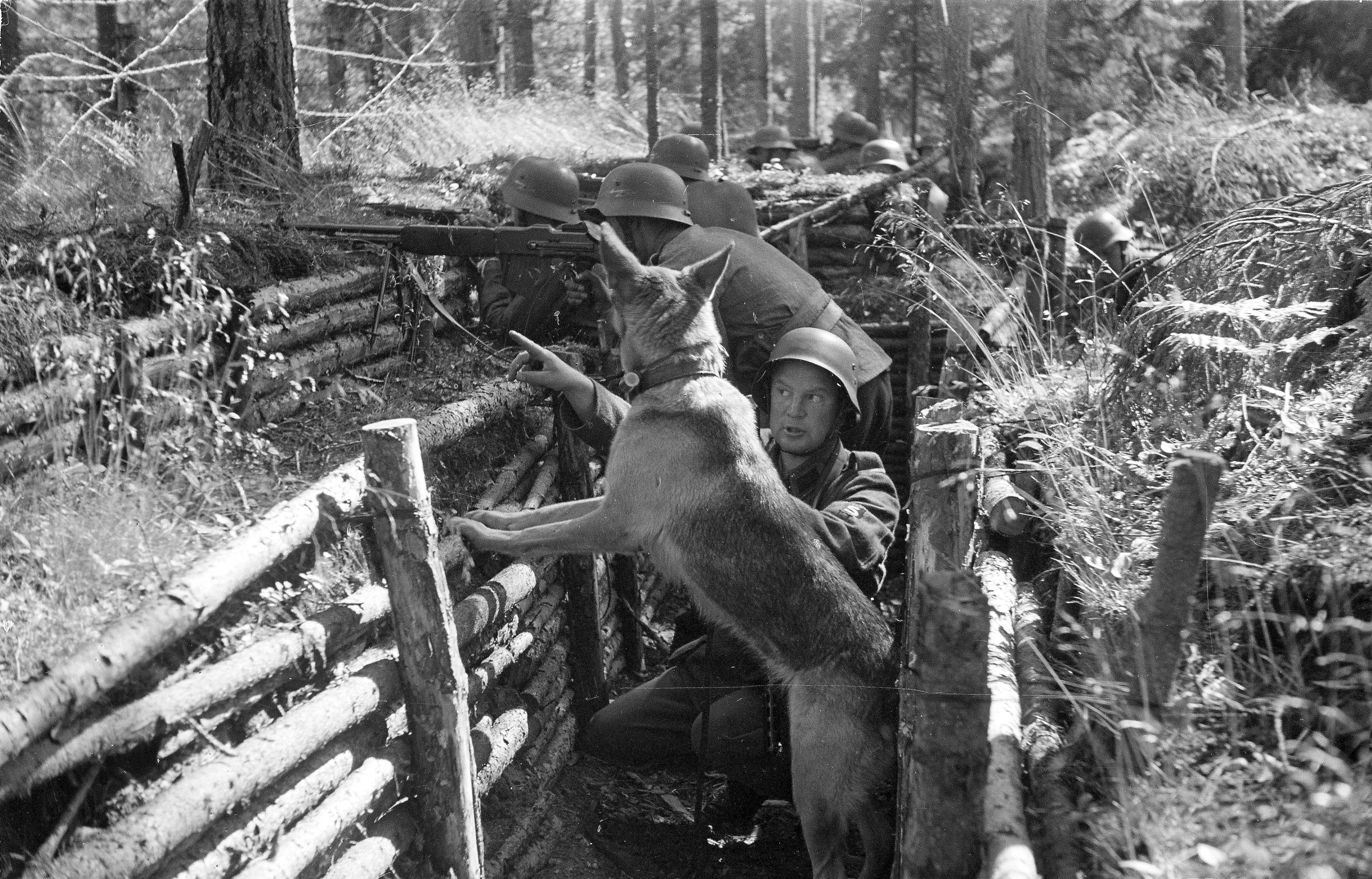 Финские солдаты 1941