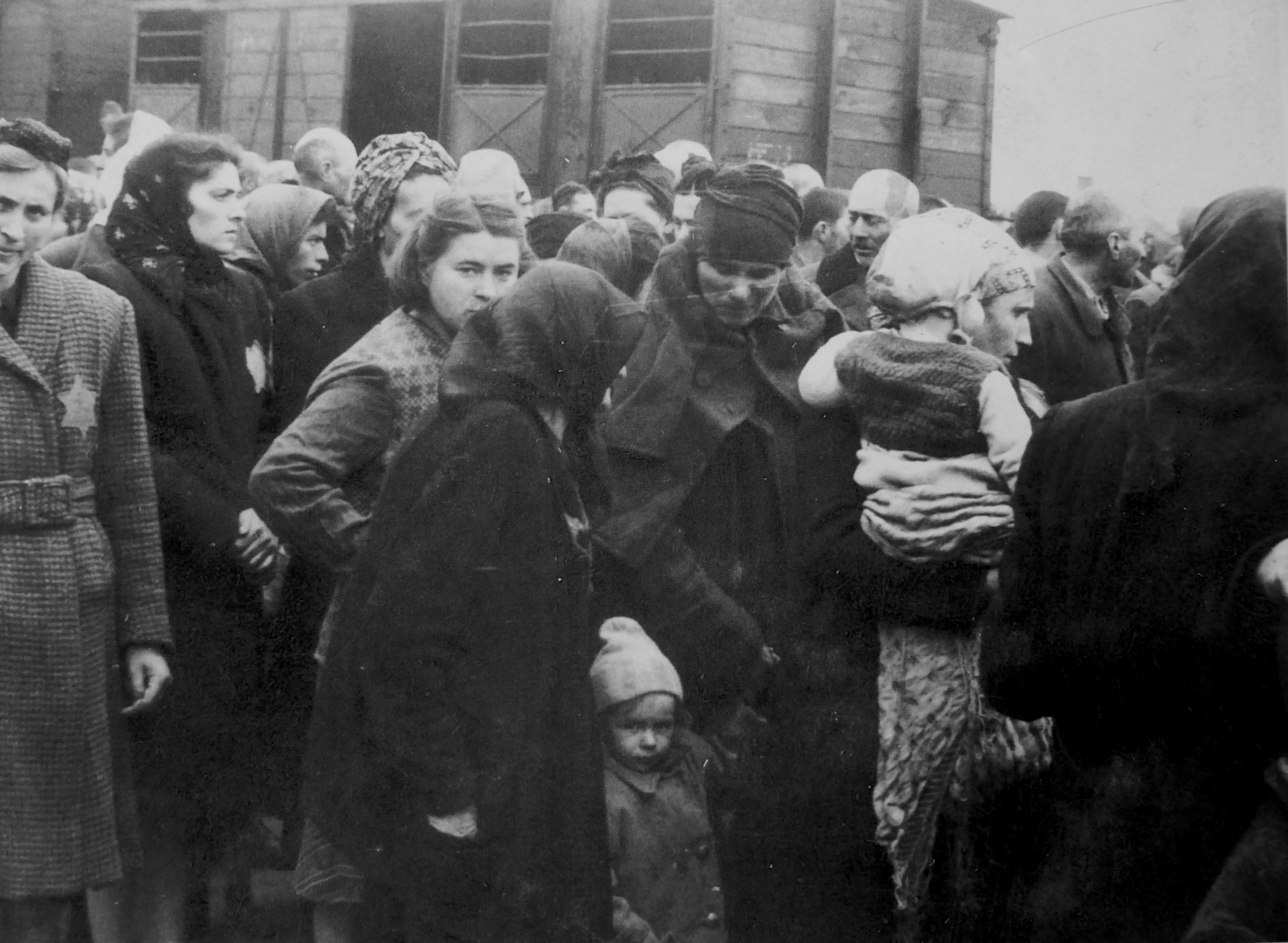 Депортация в годы войны. Прибытие заключенных в концлагерь Аушвиц.