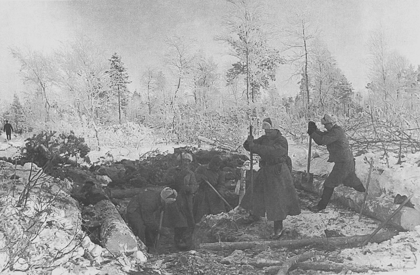 Хвойная в годы войны. Советско финская Карелия 1940.