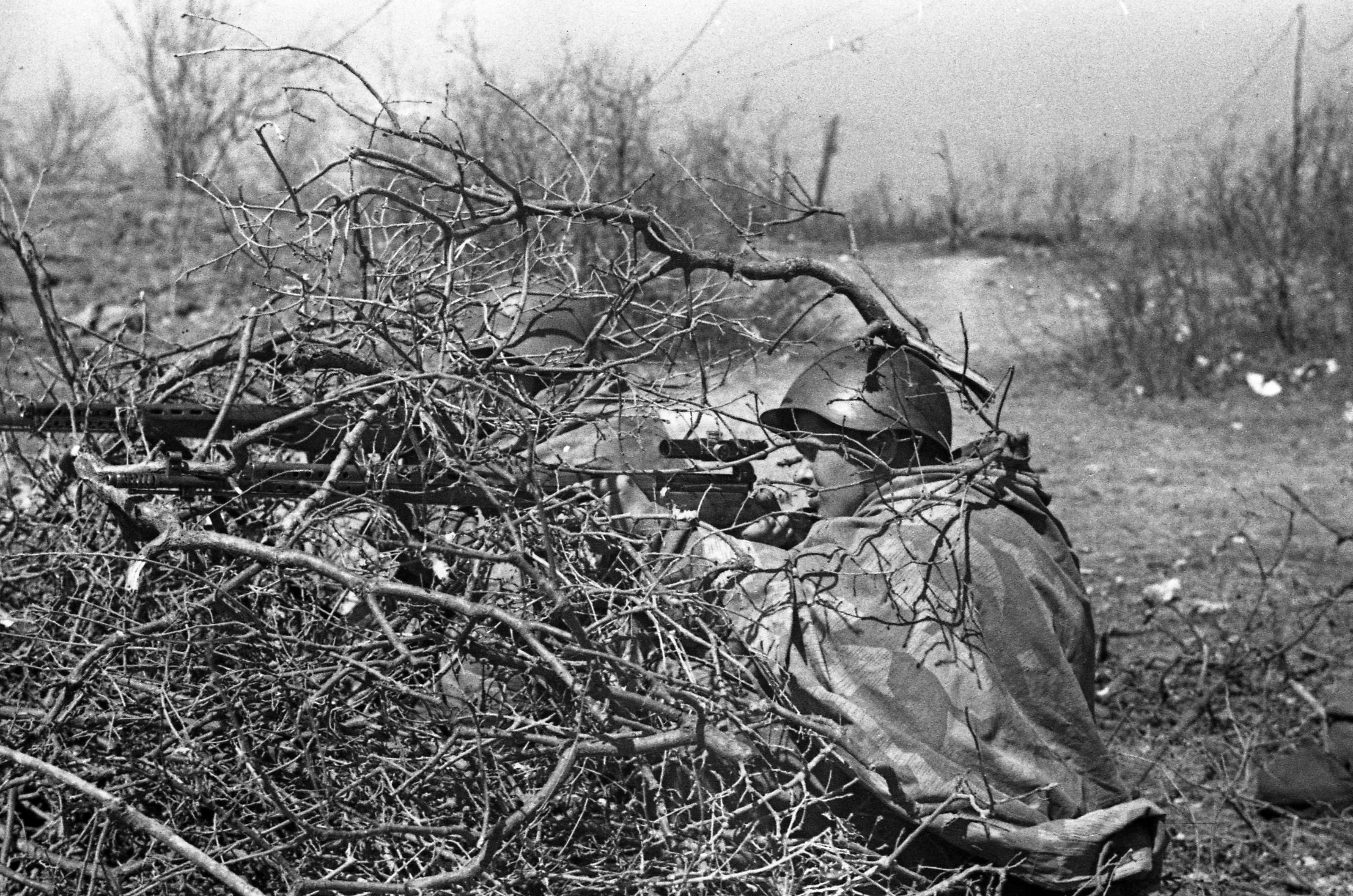 Отечественную войну 1941 1945 снайперов. Снайпер Стрелковой дивизии 1941г. Снайперы ВОВ 1941-1945. Снайперы на войне 1941 1945. Фото снайперов ВОВ 1941-1945.