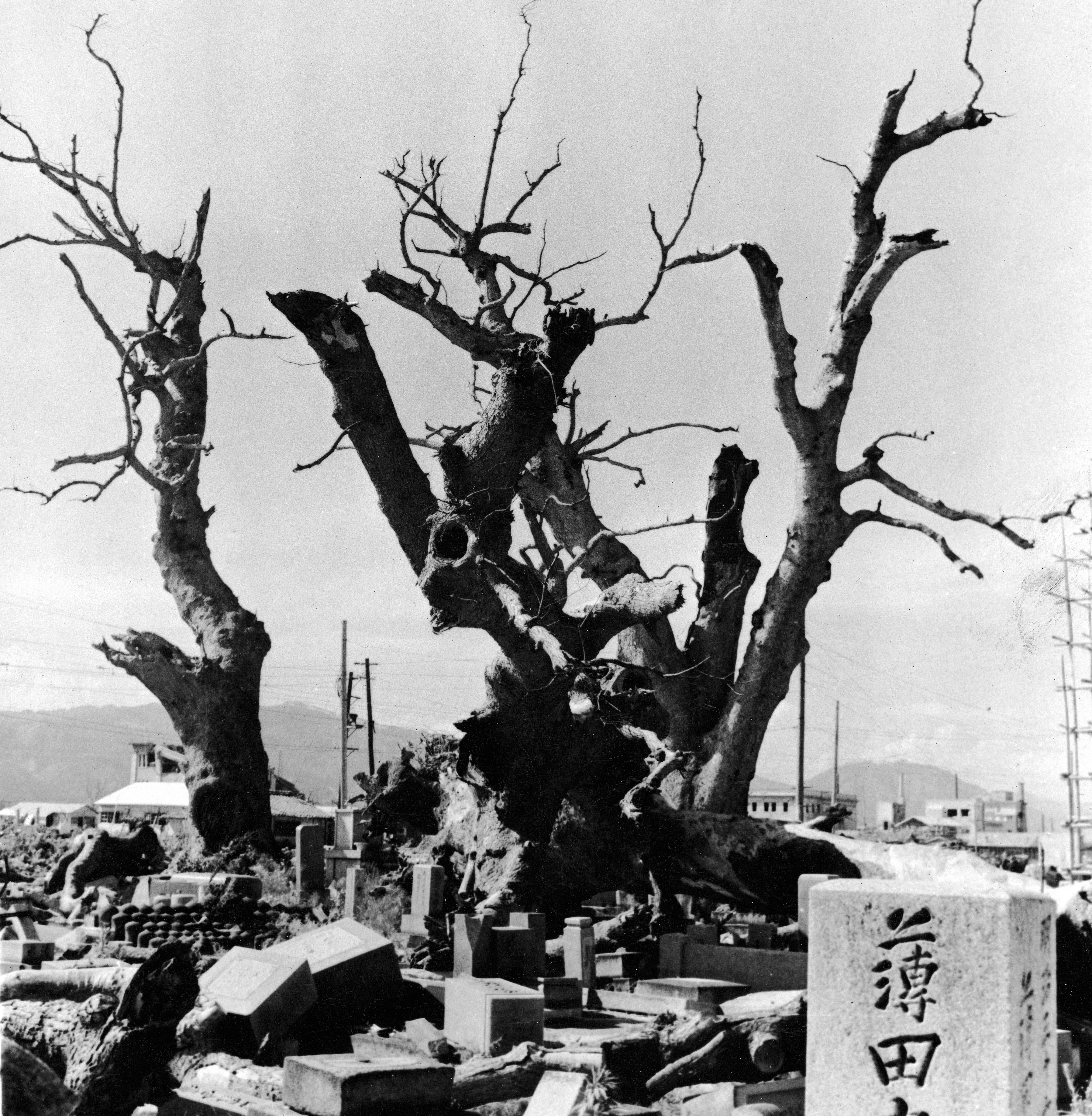 Когда скинули на нагасаки. Япония 1945 Хиросима и Нагасаки. Хиросима и Нагасаки после ядерных взрывов. Хиросима и Нагасаки после бомбардировки. Взрыв Хиросима и Нагасаки.