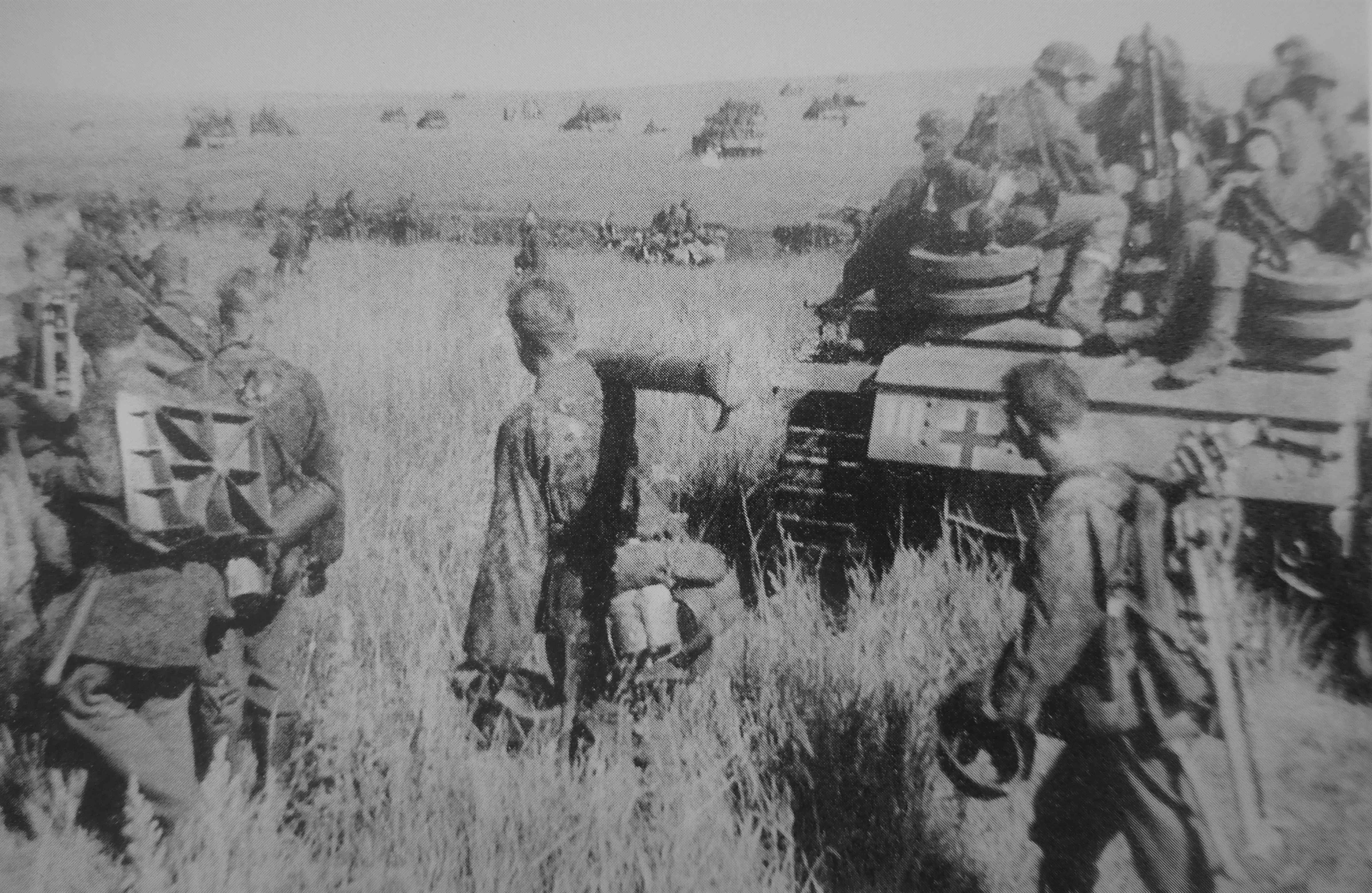 Танковая дивизия сс мертвая голова. 3-Я танковая дивизия СС Тотенкопф на Курской дуге. 6 Танковая дивизия вермахта Курская битва. Курская битва 1943. Курская битва июль август 1943.