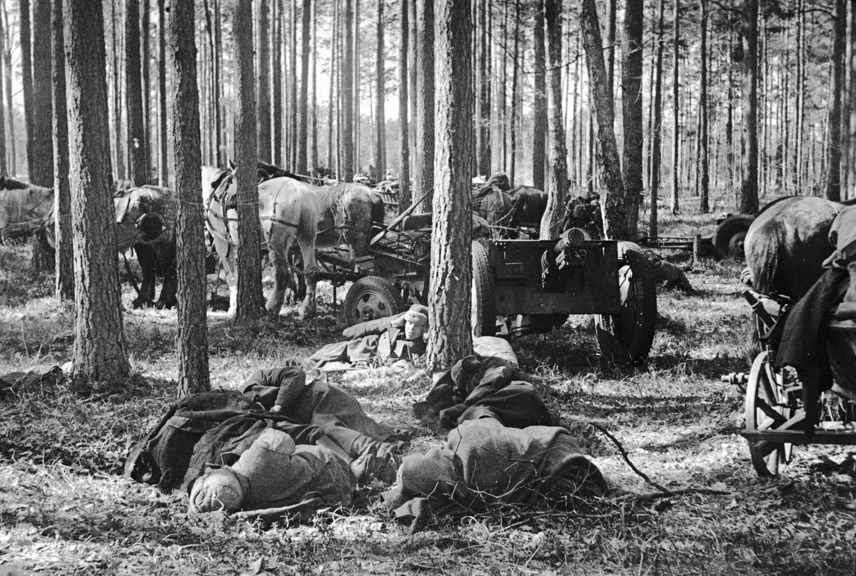 Лагерь Партизан Великой Отечественной войны