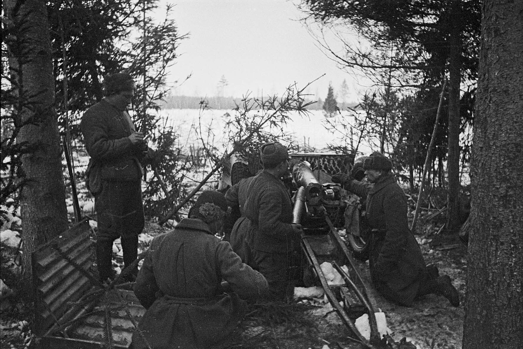 Полковая пушка 1927. Калининский фронт. Фронт в 7. 1 июля фронт
