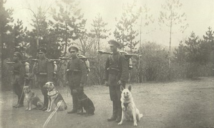 Гранична стража 1920 – 1930 – ДАА Видин