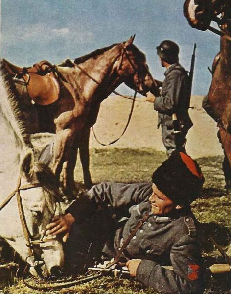 Cossacks in TR service