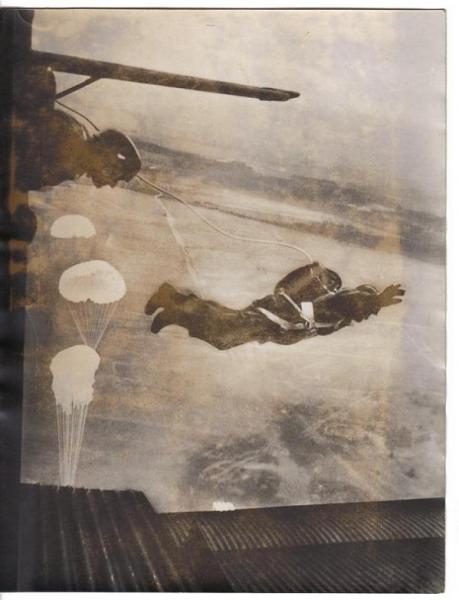  парашютисты после прыжка из самолёта