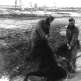 Немецкие солдаты пытаются вытащить лошадь из ледяной воды Фото