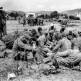 Немецкие и итальянские пленные на французском острове Эльба Фото