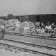 Узники концлагеря Освенцим собирают возле поезда вещи евреев из Венгрии Фото