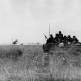 Немецкое штурмовое орудие StuG III с десантом на броне едет по полю в СССР Фото