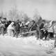 Бойцы РККА транспортируют на санях пушку 53-К в освобожденной деревне под Можайском Фото